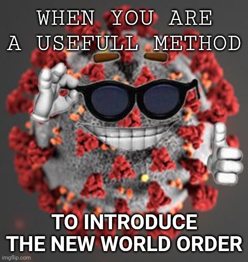 Covid is a patsy of the World Economic Forum | WHEN YOU ARE A USEFULL METHOD; TO INTRODUCE THE NEW WORLD ORDER | image tagged in coronavirus | made w/ Imgflip meme maker