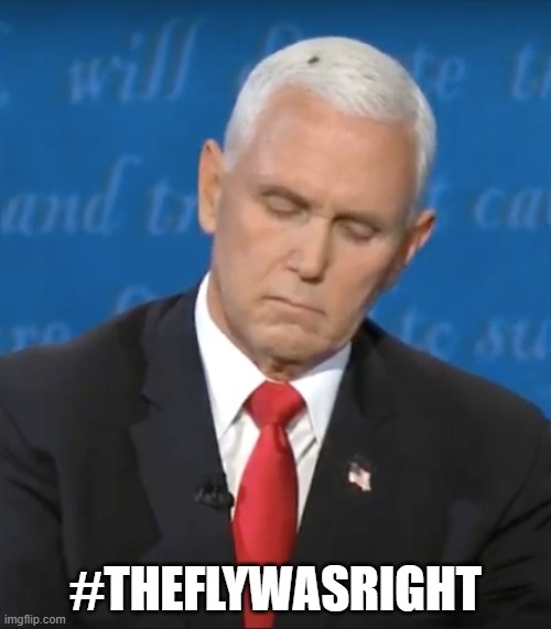 Pence Fly | #THEFLYWASRIGHT | image tagged in pence debate fly | made w/ Imgflip meme maker