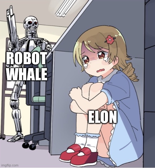 Anime Girl Hiding from Terminator | ELON ROBOT WHALE | image tagged in anime girl hiding from terminator | made w/ Imgflip meme maker