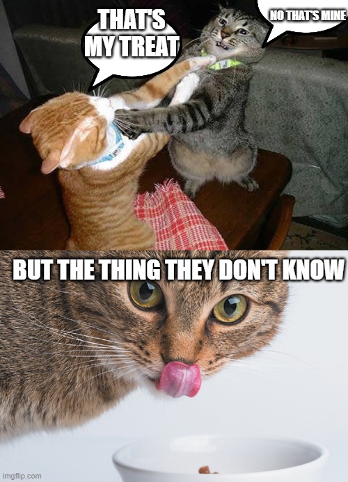 Share the treats next time | NO THAT'S MINE; THAT'S MY TREAT; BUT THE THING THEY DON'T KNOW | image tagged in two cats fighting for real,sharing,funny meme | made w/ Imgflip meme maker