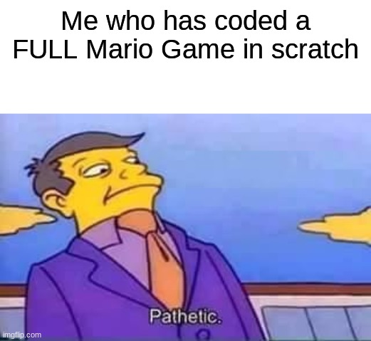 skinner pathetic | Me who has coded a FULL Mario Game in scratch | image tagged in skinner pathetic | made w/ Imgflip meme maker