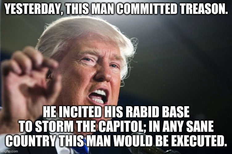 donald trump | YESTERDAY, THIS MAN COMMITTED TREASON. HE INCITED HIS RABID BASE TO STORM THE CAPITOL; IN ANY SANE COUNTRY THIS MAN WOULD BE EXECUTED. | image tagged in donald trump | made w/ Imgflip meme maker