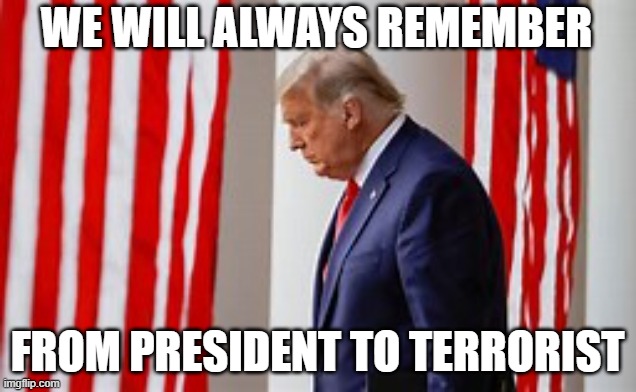 From President to Terrorist | WE WILL ALWAYS REMEMBER; FROM PRESIDENT TO TERRORIST | image tagged in donald trump,president trump,election 2020,republicans,democrats,political meme | made w/ Imgflip meme maker
