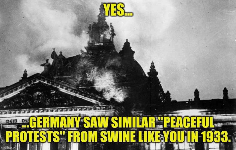 YES... ...GERMANY SAW SIMILAR "PEACEFUL PROTESTS" FROM SWINE LIKE YOU IN 1933. | made w/ Imgflip meme maker