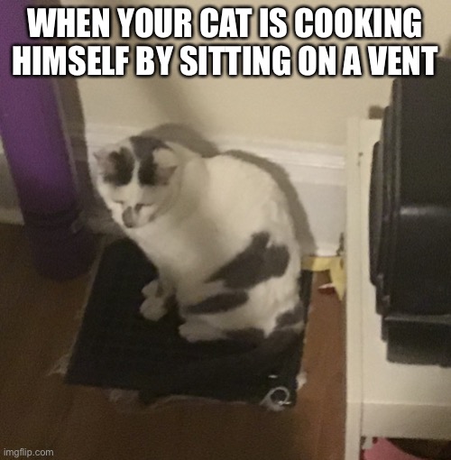 WHEN YOUR CAT IS COOKING HIMSELF BY SITTING ON A VENT | made w/ Imgflip meme maker