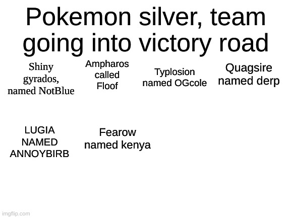 Blank White Template | Pokemon silver, team going into victory road; Shiny gyrados, named NotBlue; Quagsire named derp; Ampharos called Floof; Typlosion named OGcole; Fearow named kenya; LUGIA NAMED ANNOYBIRB | image tagged in blank white template | made w/ Imgflip meme maker
