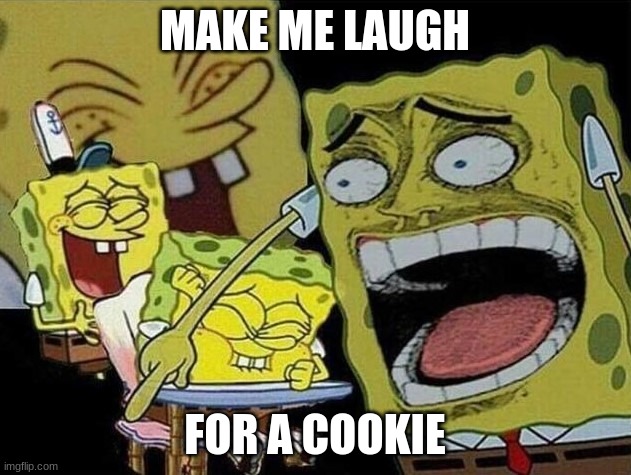 yummy | MAKE ME LAUGH; FOR A COOKIE | image tagged in spongebob laughing hysterically | made w/ Imgflip meme maker
