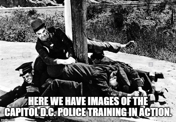 Capitol Police force allowed the shit to go south. | HERE WE HAVE IMAGES OF THE CAPITOL D.C. POLICE TRAINING IN ACTION. | image tagged in politics lol | made w/ Imgflip meme maker