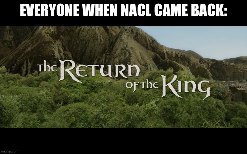 Return Of The King | EVERYONE WHEN NACL CAME BACK: | image tagged in return of the king | made w/ Imgflip meme maker