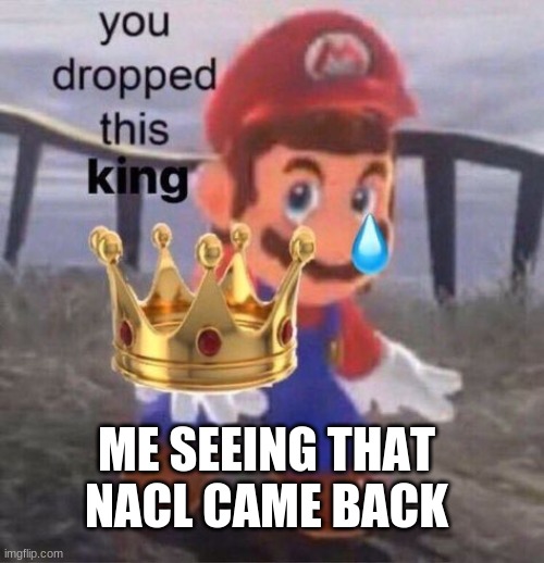 HE"S BACC BOIS | ME SEEING THAT NACL CAME BACK | image tagged in mario you dropped this king | made w/ Imgflip meme maker