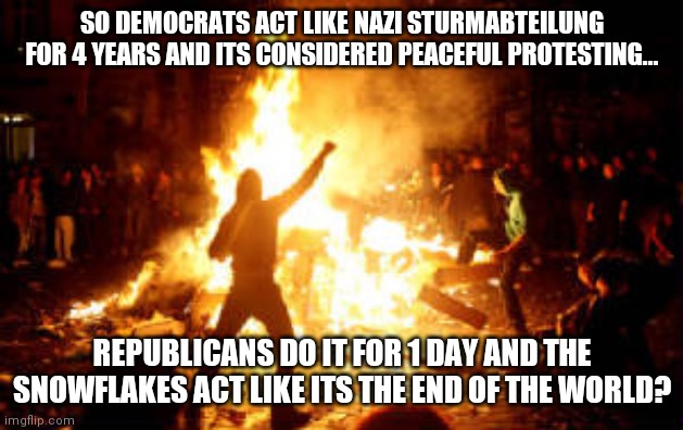 Is the shoe on the other foot Democrats? Maybe you should not spend 4 years angering 1/2 the country next time? | SO DEMOCRATS ACT LIKE NAZI STURMABTEILUNG FOR 4 YEARS AND ITS CONSIDERED PEACEFUL PROTESTING... REPUBLICANS DO IT FOR 1 DAY AND THE SNOWFLAKES ACT LIKE ITS THE END OF THE WORLD? | image tagged in anarchy riot,crying democrats | made w/ Imgflip meme maker