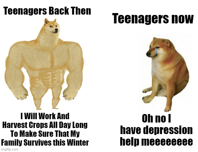 Yes | Teenagers Back Then; Teenagers now; I Will Work And Harvest Crops All Day Long To Make Sure That My Family Survives this Winter; Oh no I have depression help meeeeeeee | image tagged in memes,buff doge vs cheems | made w/ Imgflip meme maker