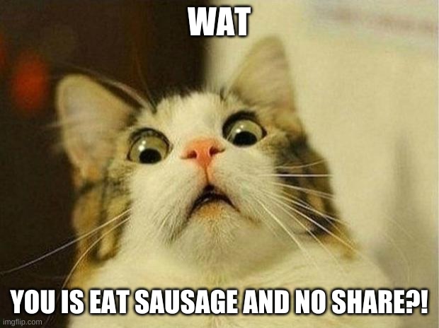 all cats | WAT; YOU IS EAT SAUSAGE AND NO SHARE?! | image tagged in memes,scared cat | made w/ Imgflip meme maker