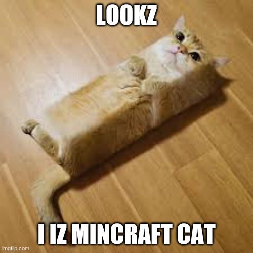 minecraft? | LOOKZ; I IZ MINCRAFT CAT | image tagged in minecraft | made w/ Imgflip meme maker