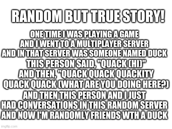 random but true story! | RANDOM BUT TRUE STORY! ONE TIME I WAS PLAYING A GAME AND I WENT TO A MULTIPLAYER SERVER AND IN THAT SERVER WAS SOMEONE NAMED DUCK; THIS PERSON SAID, "QUACK (HI)" AND THEN, "QUACK QUACK QUACKITY QUACK QUACK (WHAT ARE YOU DOING HERE?); AND THEN THIS PERSON AND I JUST HAD CONVERSATIONS IN THIS RANDOM SERVER AND NOW I'M RANDOMLY FRIENDS WTH A DUCK | image tagged in blank white template,duck person | made w/ Imgflip meme maker