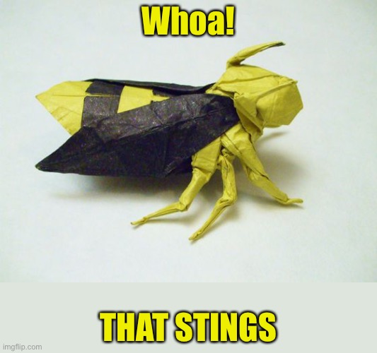 Whoa! THAT STINGS | made w/ Imgflip meme maker