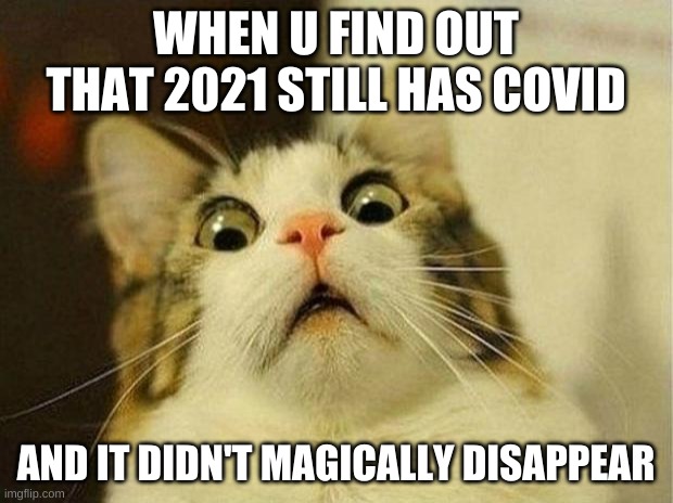 Scared Cat | WHEN U FIND OUT THAT 2021 STILL HAS COVID; AND IT DIDN'T MAGICALLY DISAPPEAR | image tagged in memes,scared cat | made w/ Imgflip meme maker