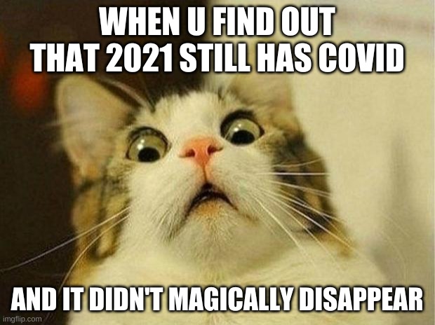 Scared Cat Meme | WHEN U FIND OUT THAT 2021 STILL HAS COVID; AND IT DIDN'T MAGICALLY DISAPPEAR | image tagged in memes,scared cat | made w/ Imgflip meme maker