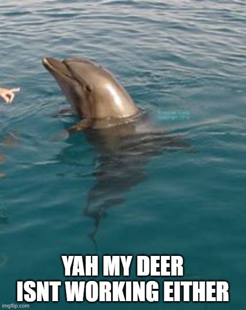 YAH MY DEER ISNT WORKING EITHER | made w/ Imgflip meme maker