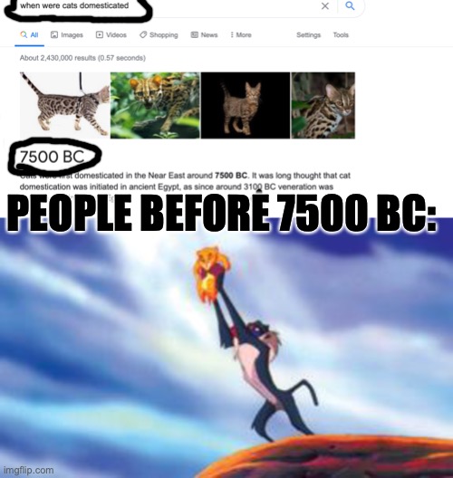 PEOPLE BEFORE 7500 BC: | image tagged in lion king cub | made w/ Imgflip meme maker