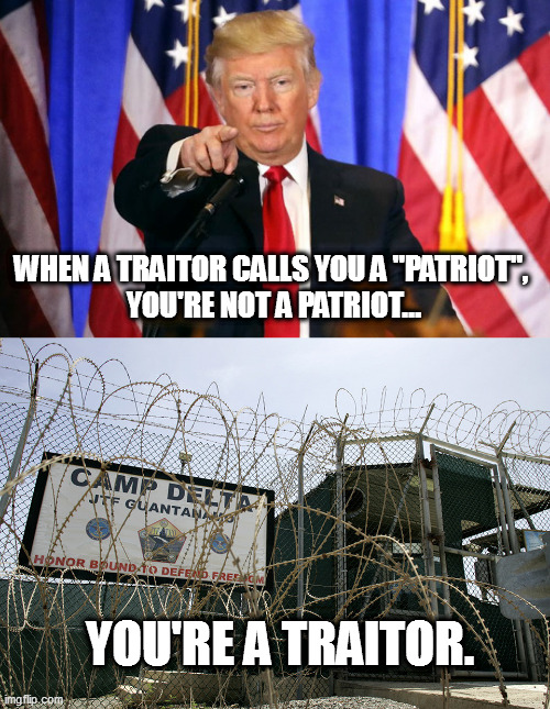 trump and his terrorists are traitors, and should be dealt with as such. | WHEN A TRAITOR CALLS YOU A "PATRIOT", 
YOU'RE NOT A PATRIOT... YOU'RE A TRAITOR. | image tagged in traitor trump,traitor maggats,traitor proud boys | made w/ Imgflip meme maker