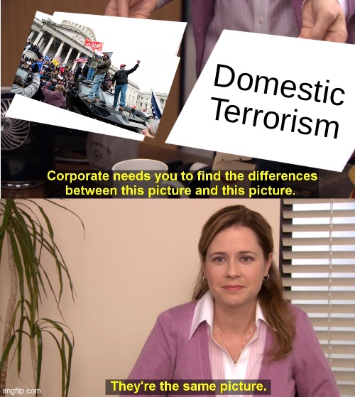 They're The Same Picture | Domestic Terrorism | image tagged in memes,they're the same picture | made w/ Imgflip meme maker