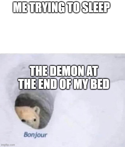 Bonjour | ME TRYING TO SLEEP; THE DEMON AT THE END OF MY BED | image tagged in bonjour | made w/ Imgflip meme maker