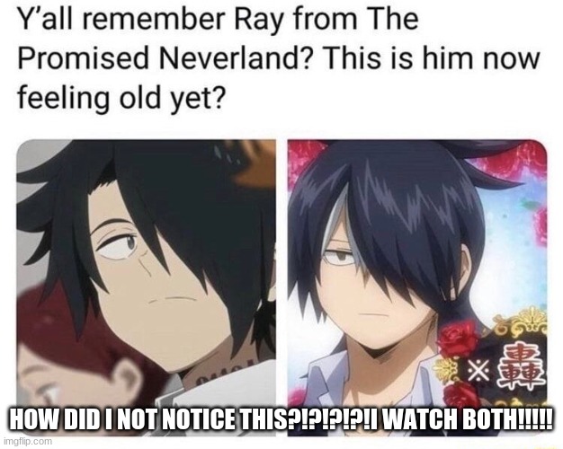 I hate my self for not noticing this D: | HOW DID I NOT NOTICE THIS?!?!?!?!I WATCH BOTH!!!!! | image tagged in my hero academia,memes | made w/ Imgflip meme maker