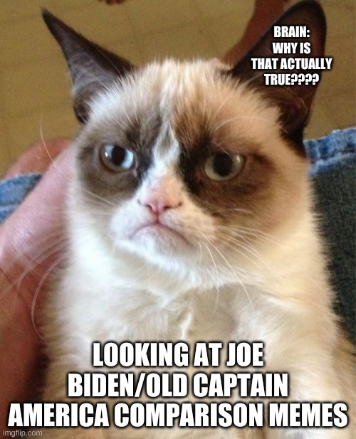 Grumpy Cat | BRAIN: WHY IS THAT ACTUALLY TRUE???? LOOKING AT JOE BIDEN/OLD CAPTAIN AMERICA COMPARISON MEMES | image tagged in memes,grumpy cat | made w/ Imgflip meme maker
