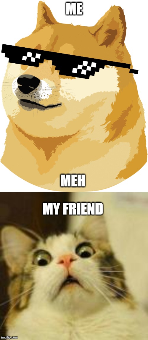 Geez | ME; MEH; MY FRIEND | image tagged in doge | made w/ Imgflip meme maker