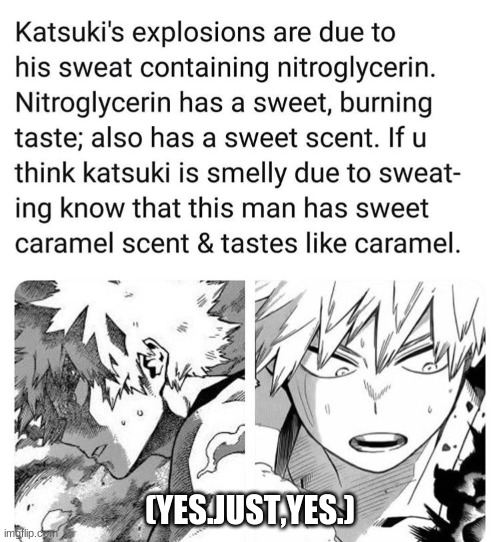 I knew it :D |  (YES.JUST,YES.) | image tagged in bakugo,boi | made w/ Imgflip meme maker
