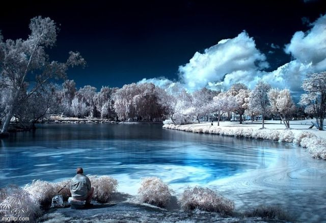 Cool infrared filter I think | image tagged in awesome | made w/ Imgflip meme maker