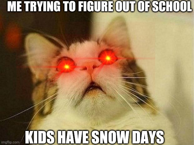 Scared Cat | ME TRYING TO FIGURE OUT OF SCHOOL; KIDS HAVE SNOW DAYS | image tagged in memes,scared cat | made w/ Imgflip meme maker