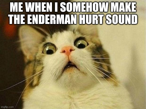 Scared Cat | ME WHEN I SOMEHOW MAKE THE ENDERMAN HURT SOUND | image tagged in memes,scared cat | made w/ Imgflip meme maker