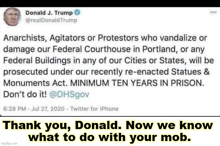 Trump is against vandalism, unless it's by his vandals | Thank you, Donald. Now we know 
what to do with your mob. | image tagged in trump is against vandalism unless it's by his vandals,trump,mob,vandalism,prison | made w/ Imgflip meme maker