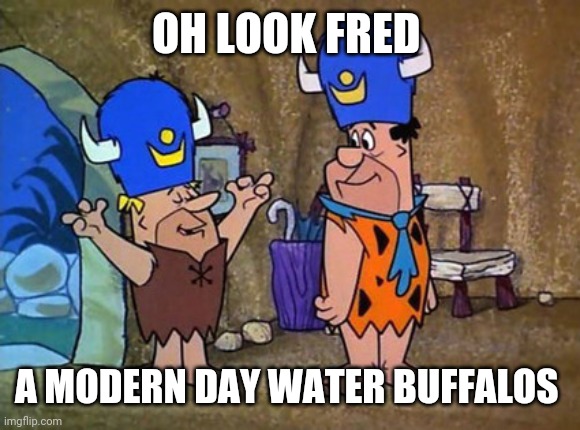 Barney rubble Fred Flintstone Flintstones | OH LOOK FRED A MODERN DAY WATER BUFFALOS | image tagged in barney rubble fred flintstone flintstones | made w/ Imgflip meme maker