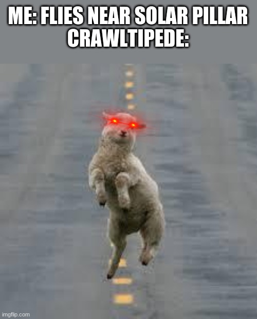 dancing sheep | ME: FLIES NEAR SOLAR PILLAR
CRAWLTIPEDE: | image tagged in dancing sheep,terraria,sheep,crawltipede | made w/ Imgflip meme maker