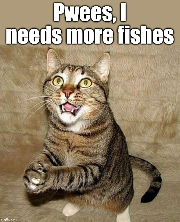 or is he begging for votes? | Pwees, I needs more fishes | image tagged in cats | made w/ Imgflip meme maker