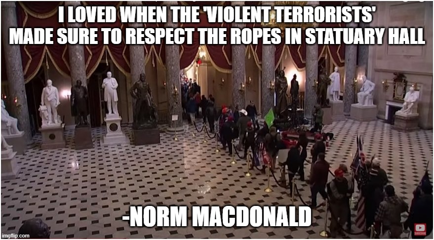 MAGA 'Insurrection' | I LOVED WHEN THE 'VIOLENT TERRORISTS' MADE SURE TO RESPECT THE ROPES IN STATUARY HALL; -NORM MACDONALD | image tagged in funny memes | made w/ Imgflip meme maker