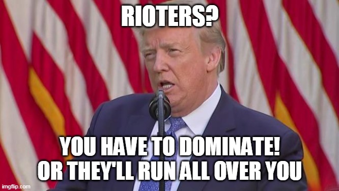 riot control | RIOTERS? YOU HAVE TO DOMINATE!
OR THEY'LL RUN ALL OVER YOU | image tagged in hypocrisy,doublestandards,trump | made w/ Imgflip meme maker