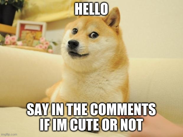 Doge 2 Meme | HELLO; SAY IN THE COMMENTS IF IM CUTE OR NOT | image tagged in memes,doge 2 | made w/ Imgflip meme maker
