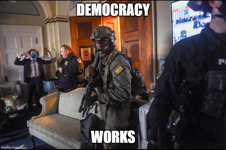 DEMOCRACY WORKS | DEMOCRACY; WORKS | image tagged in donald trump approves,democracy,i love democracy,freedom | made w/ Imgflip meme maker