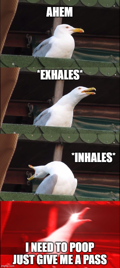 Inhaling Seagull Meme | AHEM *EXHALES* *INHALES* I NEED TO POOP JUST GIVE ME A PASS | image tagged in memes,inhaling seagull | made w/ Imgflip meme maker