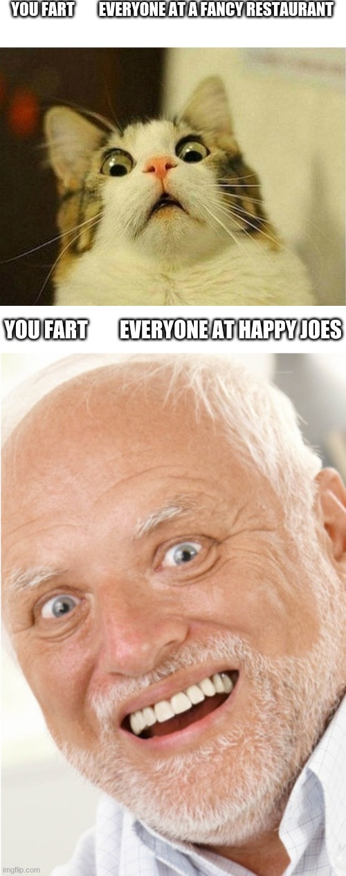 Fart reactions | YOU FART        EVERYONE AT A FANCY RESTAURANT; YOU FART        EVERYONE AT HAPPY JOES | image tagged in memes,scared cat,fart jokes | made w/ Imgflip meme maker