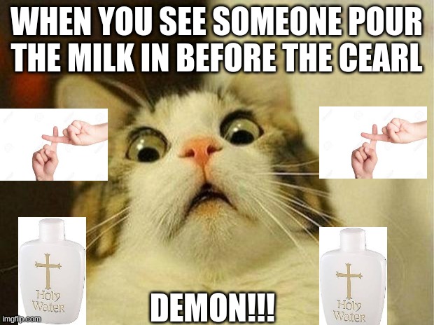 Scared Cat Meme | WHEN YOU SEE SOMEONE POUR THE MILK IN BEFORE THE CEARL; DEMON!!! | image tagged in memes,scared cat | made w/ Imgflip meme maker