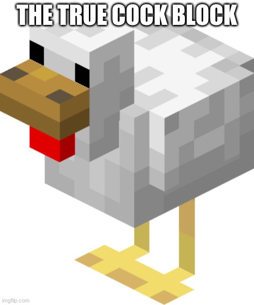 Minecraft chicken | THE TRUE COCK BLOCK | image tagged in minecraft chicken | made w/ Imgflip meme maker