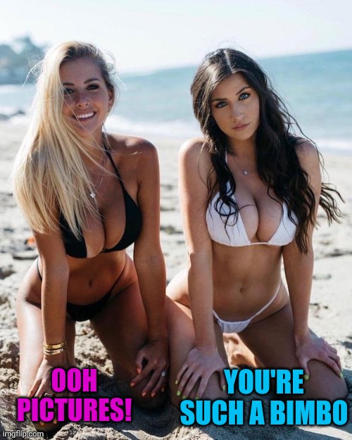 Dichotomy | OOH PICTURES! YOU'RE SUCH A BIMBO | image tagged in boobs,beachbabes,dichotomy | made w/ Imgflip meme maker