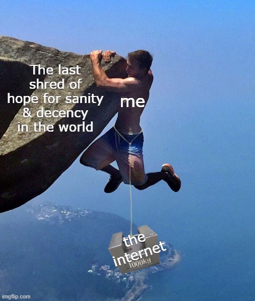 The last shred of hope for sanity & decency in the world; me; the internet | image tagged in hang in there,rock climbing,the internet | made w/ Imgflip meme maker