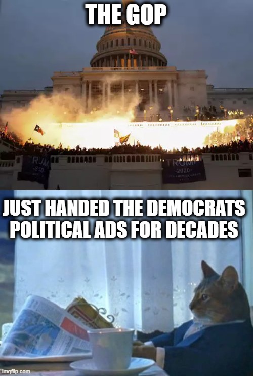 "I will Never Vote GOP again" - Half the current now former GOP voters. | THE GOP; JUST HANDED THE DEMOCRATS POLITICAL ADS FOR DECADES | image tagged in memes,i should buy a boat cat,politics,treason,lock him up,maga | made w/ Imgflip meme maker