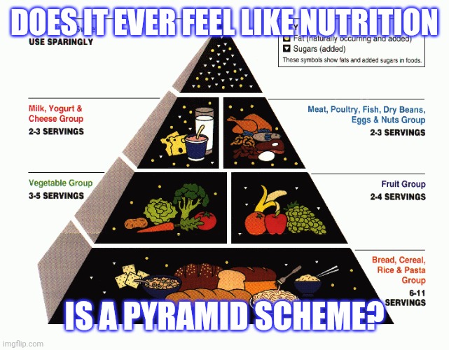 DOES IT EVER FEEL LIKE NUTRITION; IS A PYRAMID SCHEME? | image tagged in food | made w/ Imgflip meme maker